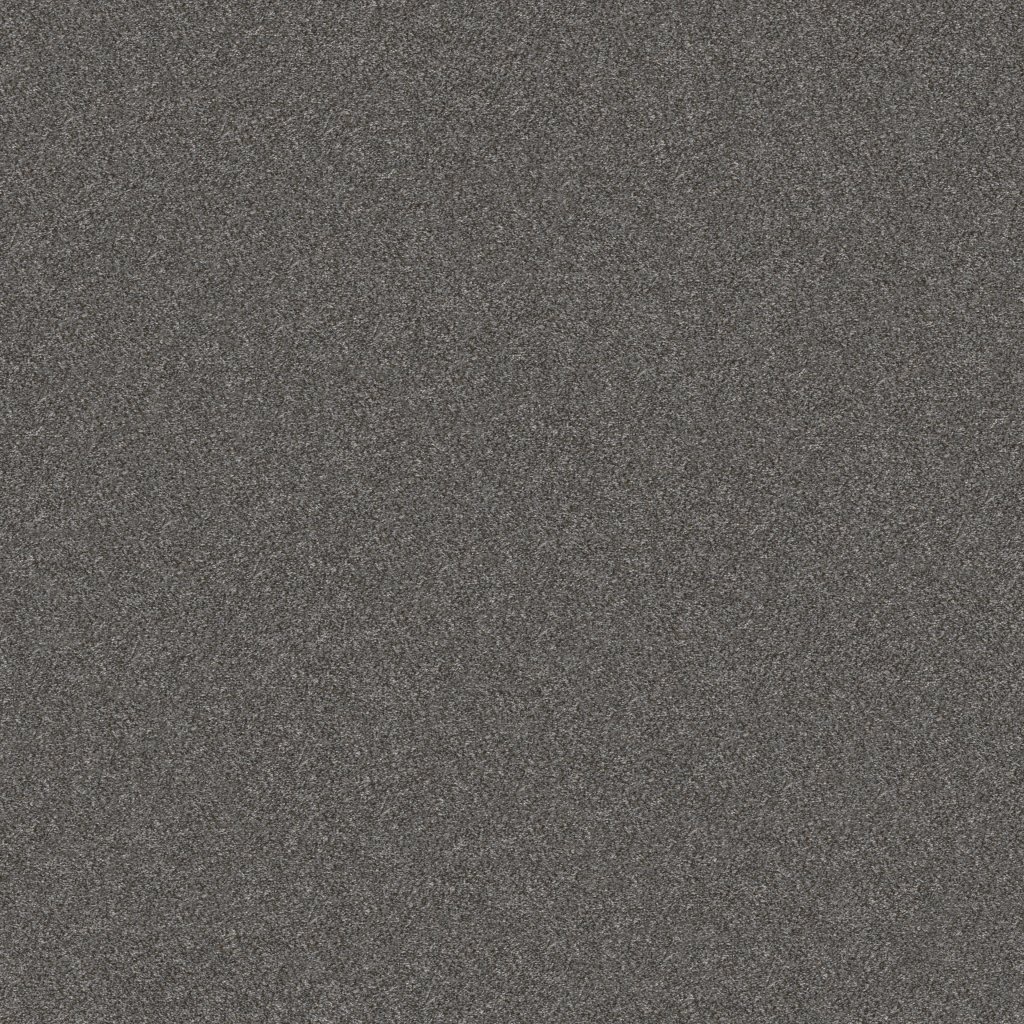 Shaw Floors Without Limits III - Granite