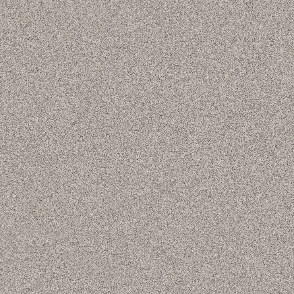 Shaw Floors Grand Influence II - Gentle Wind