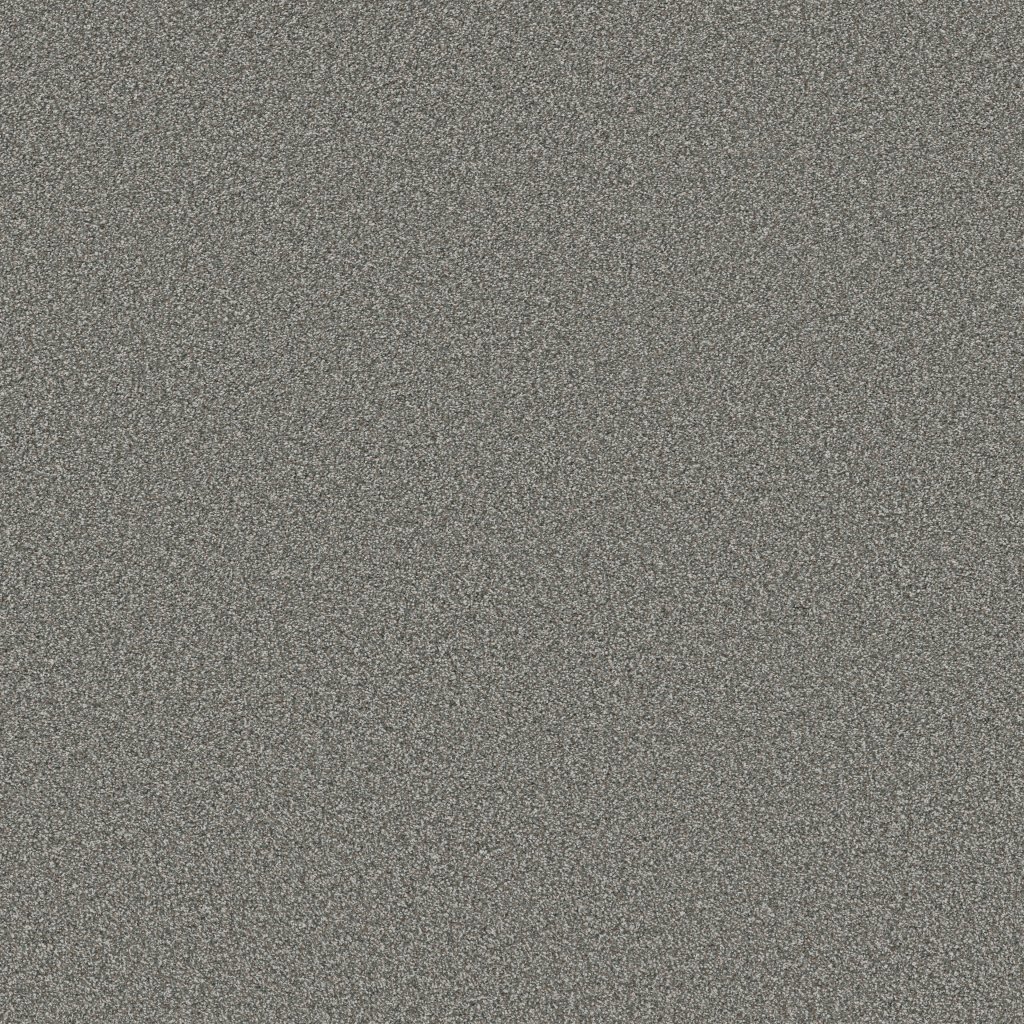 Shaw Floors Tweed Comfort II - First Class
