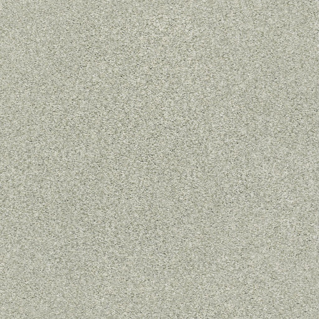 Shaw Floors Tonal Comfort Blue - Willow Tree