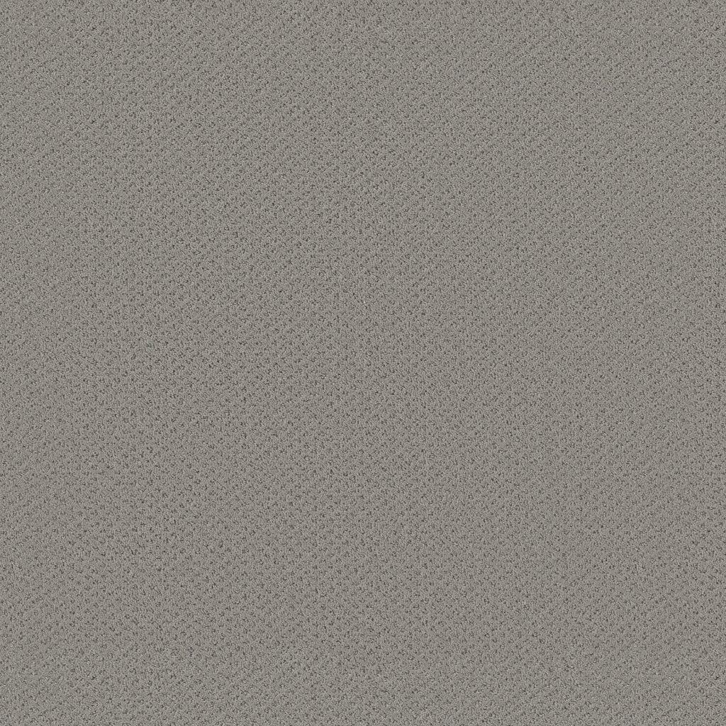 Shaw Floors Genesis - Sea Salt