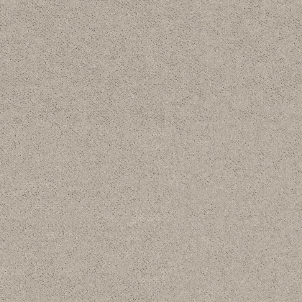 Shaw Floors Mainstay - Fossil Path
