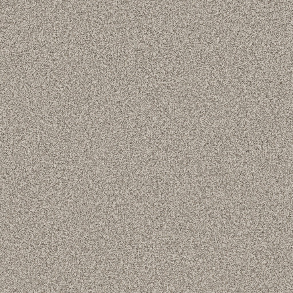 Shaw Floors Prescott Valley - Platinum