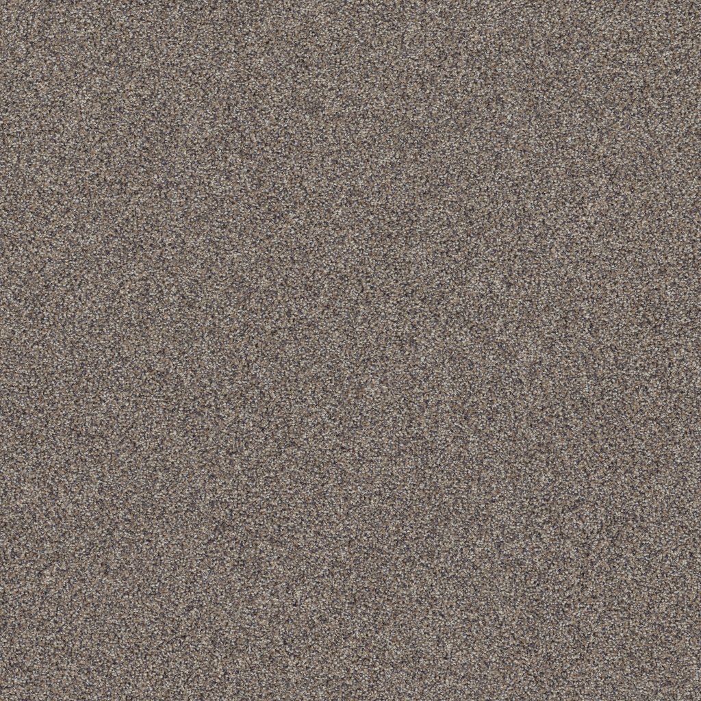 Shaw Floors Affirmation I - Granite