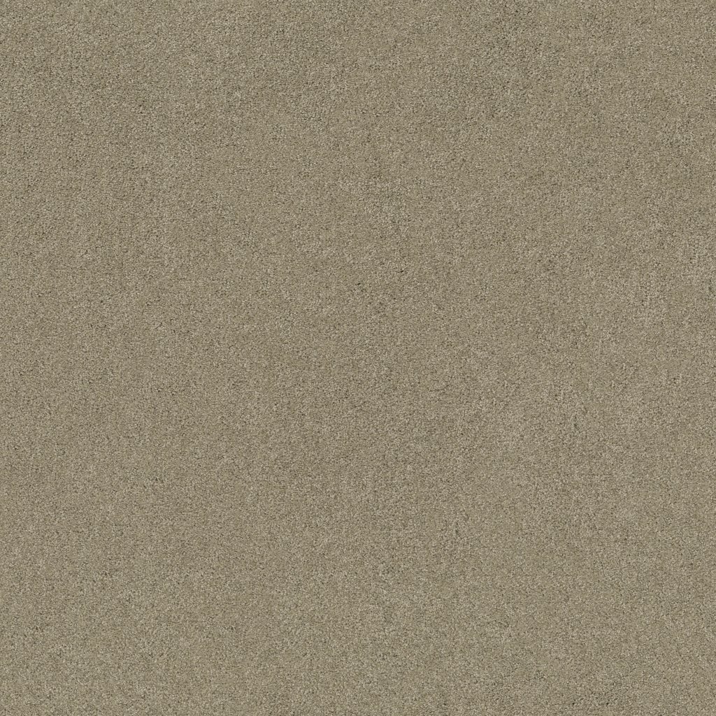 Shaw Floors Tip Of The Hat - Gray Flannel