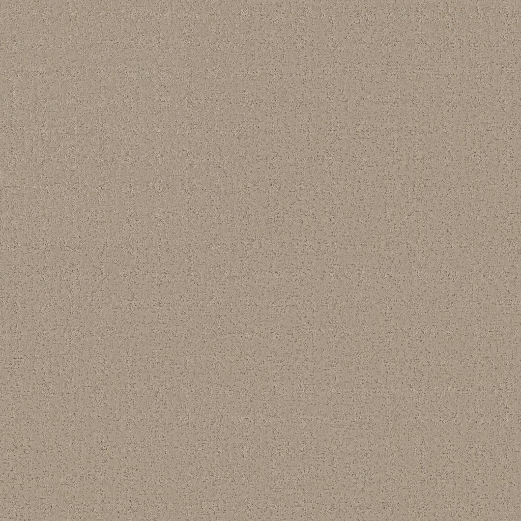 Shaw Floors Crafted Tone - Open Canyon