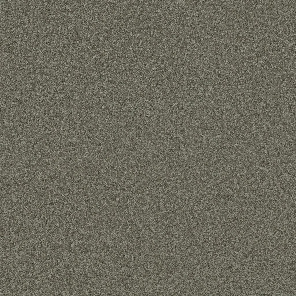 Shaw Floors Premier Role - Charcoal