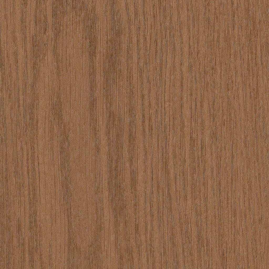 Philadelphia Commercial Willow Oak 12m - Copper Oak