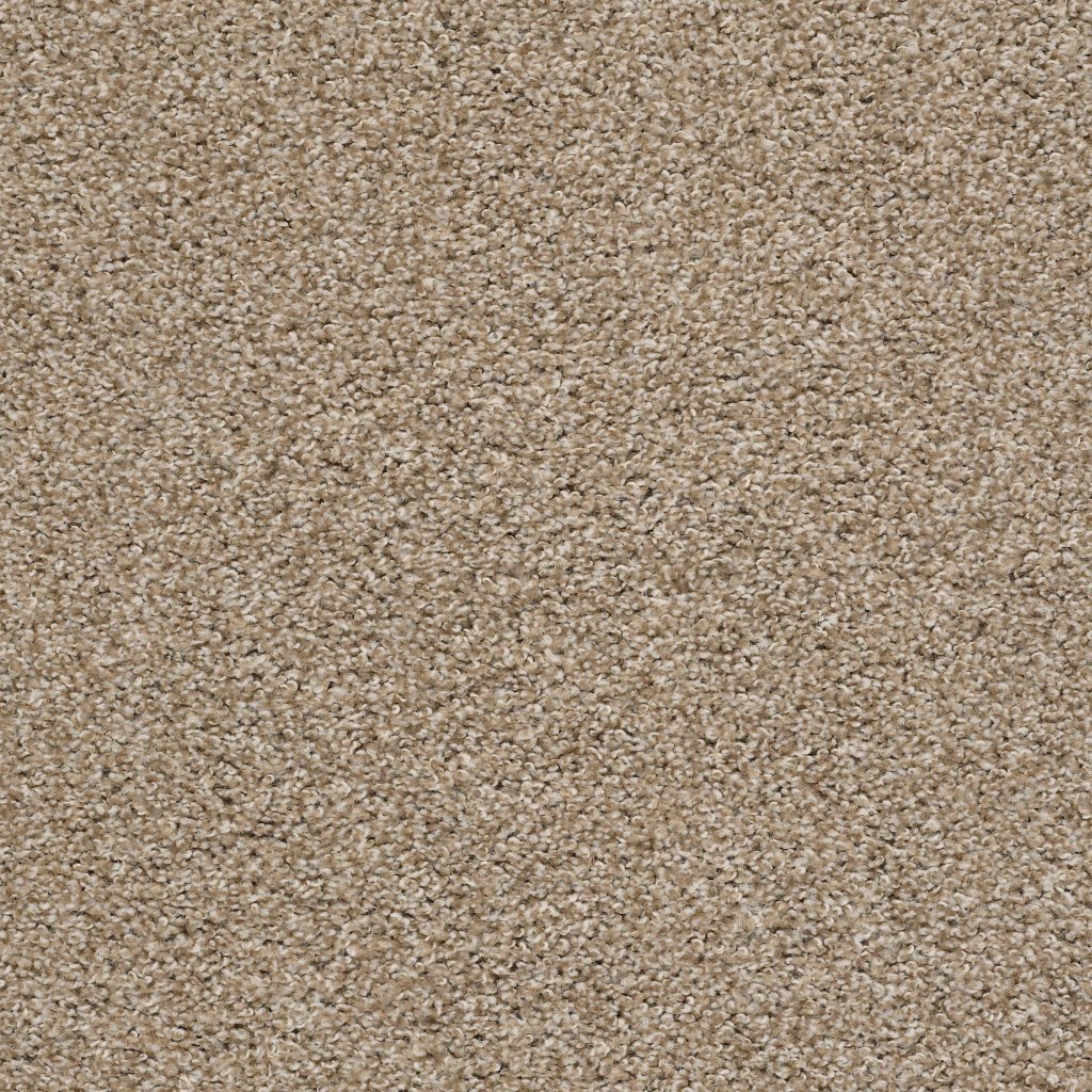 Shaw Floors Poised - Artisan