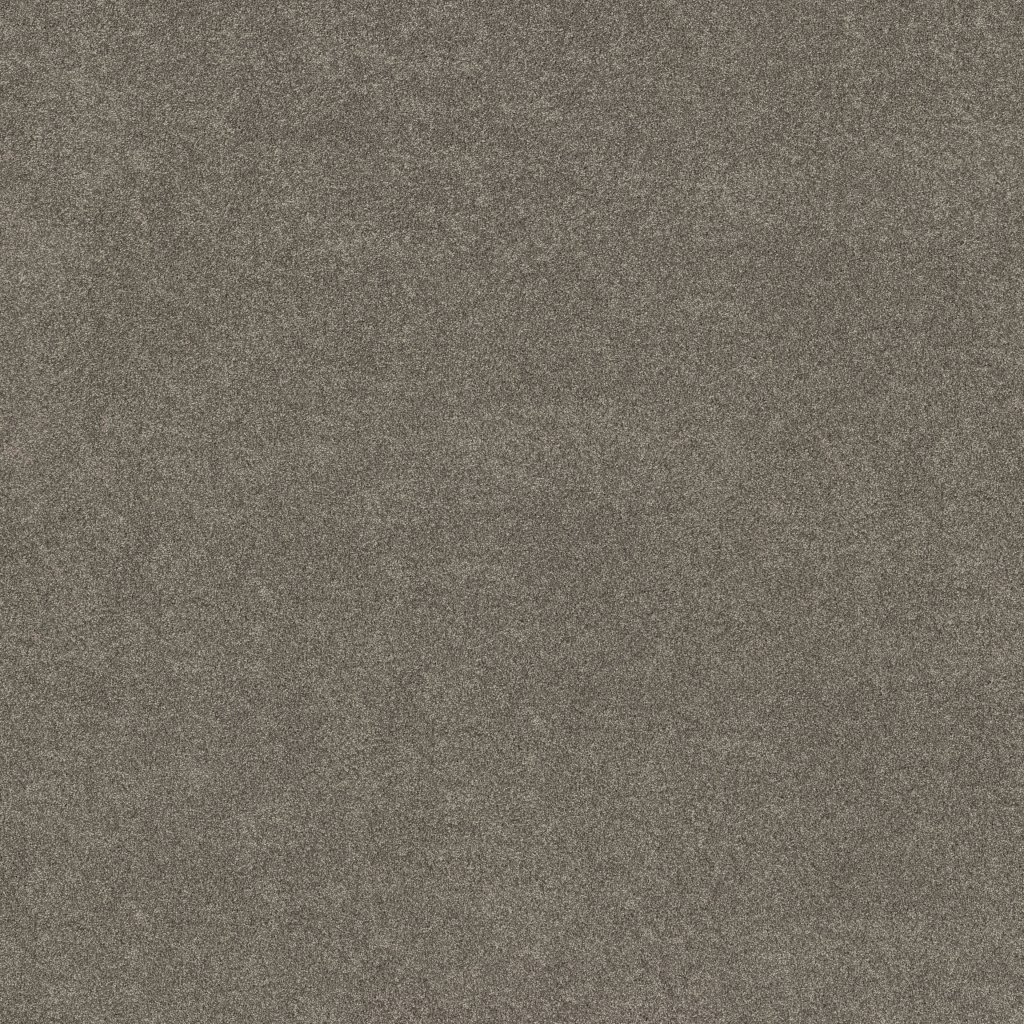 Shaw Floors Vivid Touch II - Hideaway