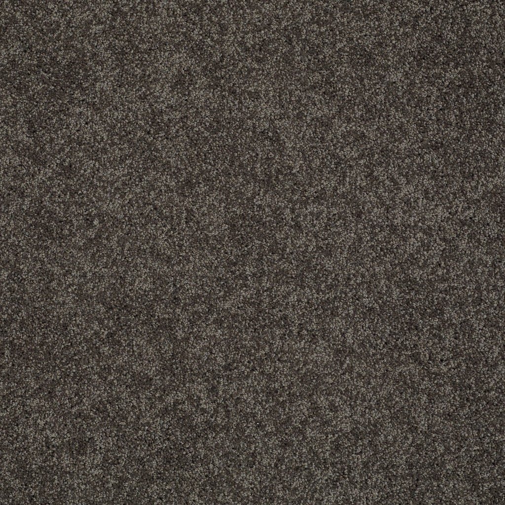 Shaw Floors Inspired By Ii - Vintage Leather