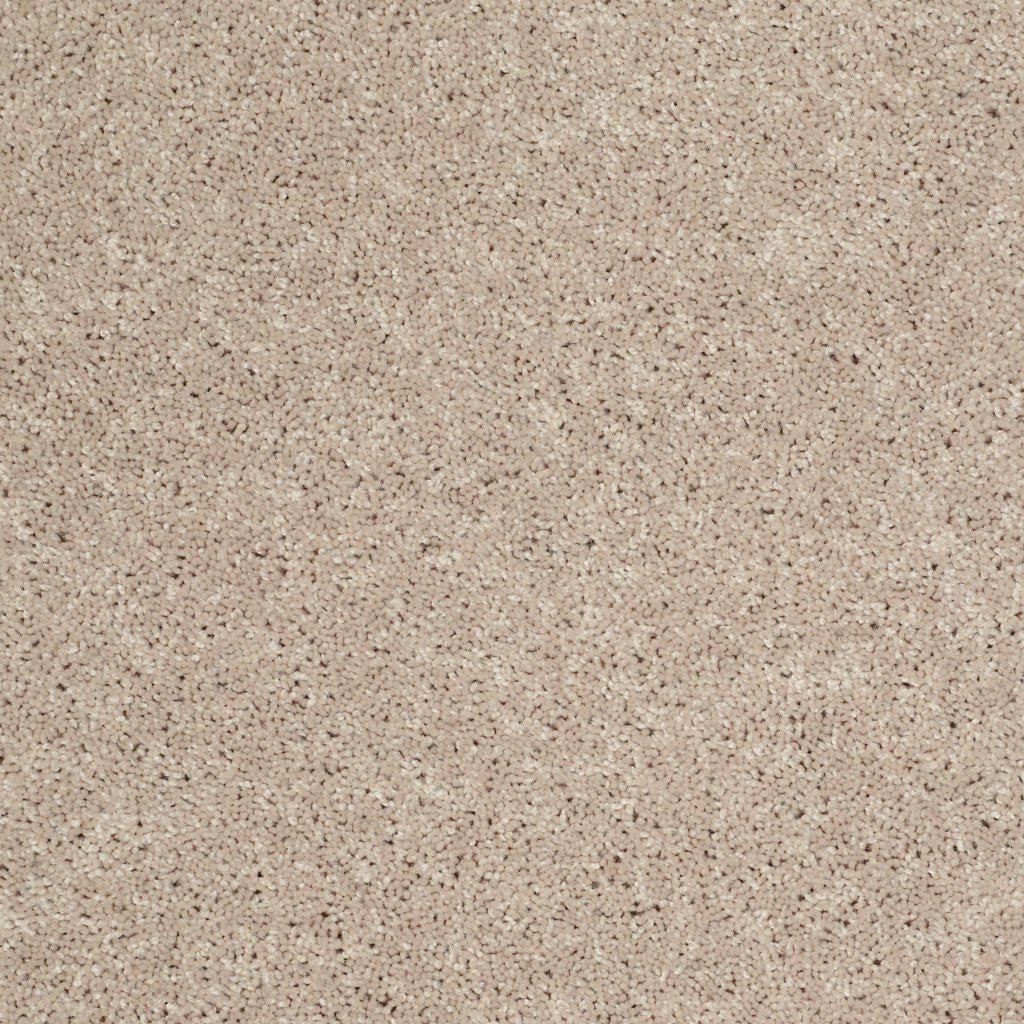 Shaw Floors Drexel Hill III 12' - Flax Seed