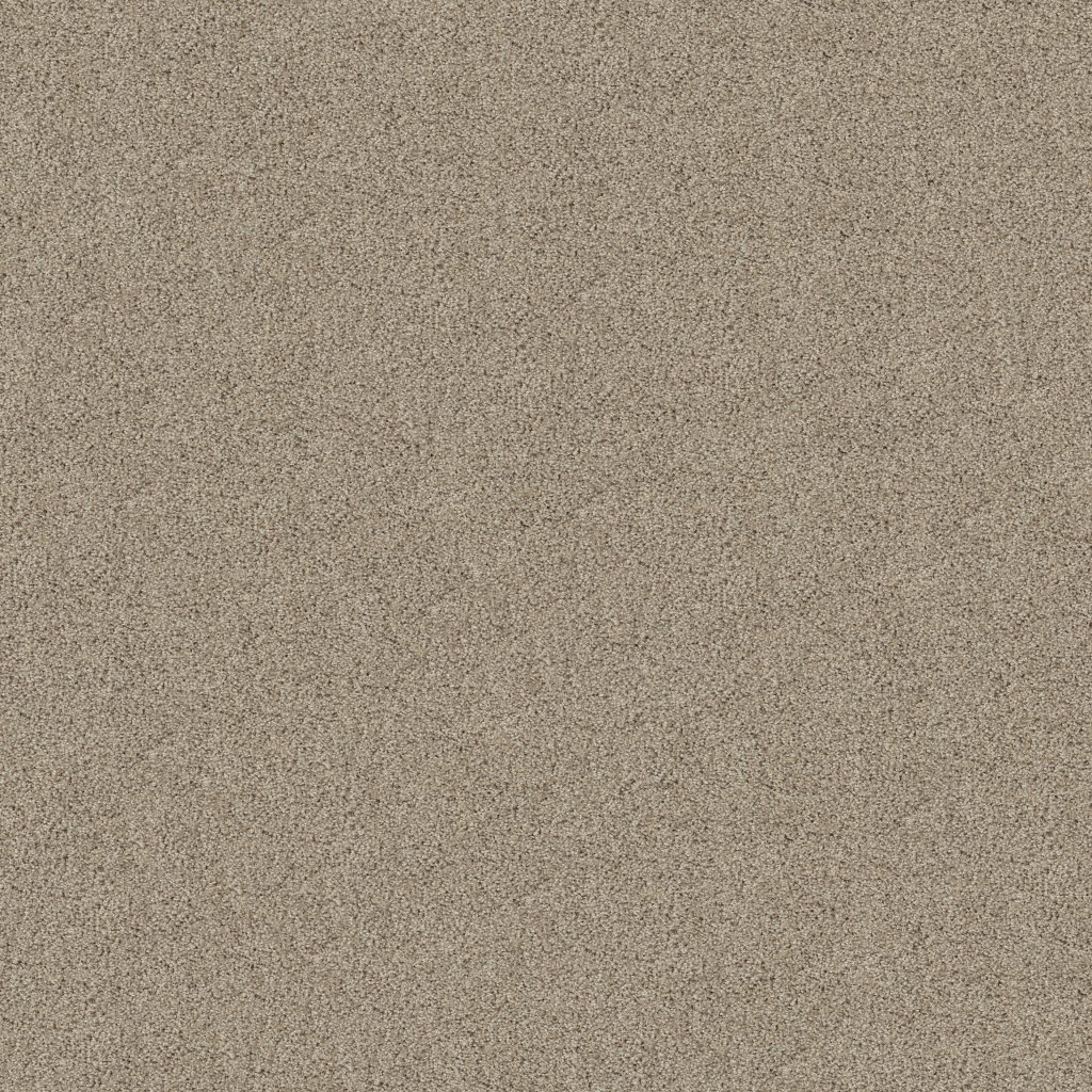 Shaw Floors Always Mine - Clay