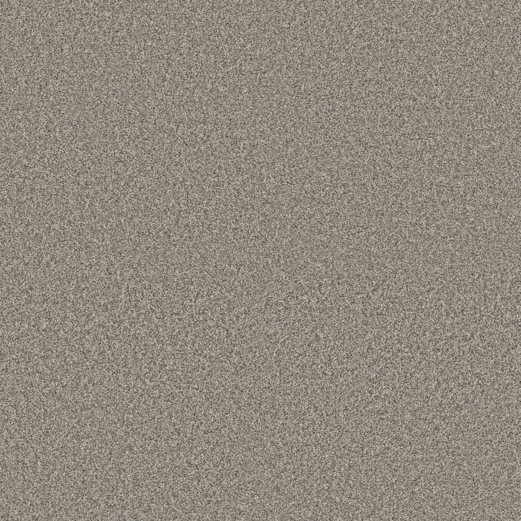 Shaw Floors Timeless Tone Blue - Driftwood