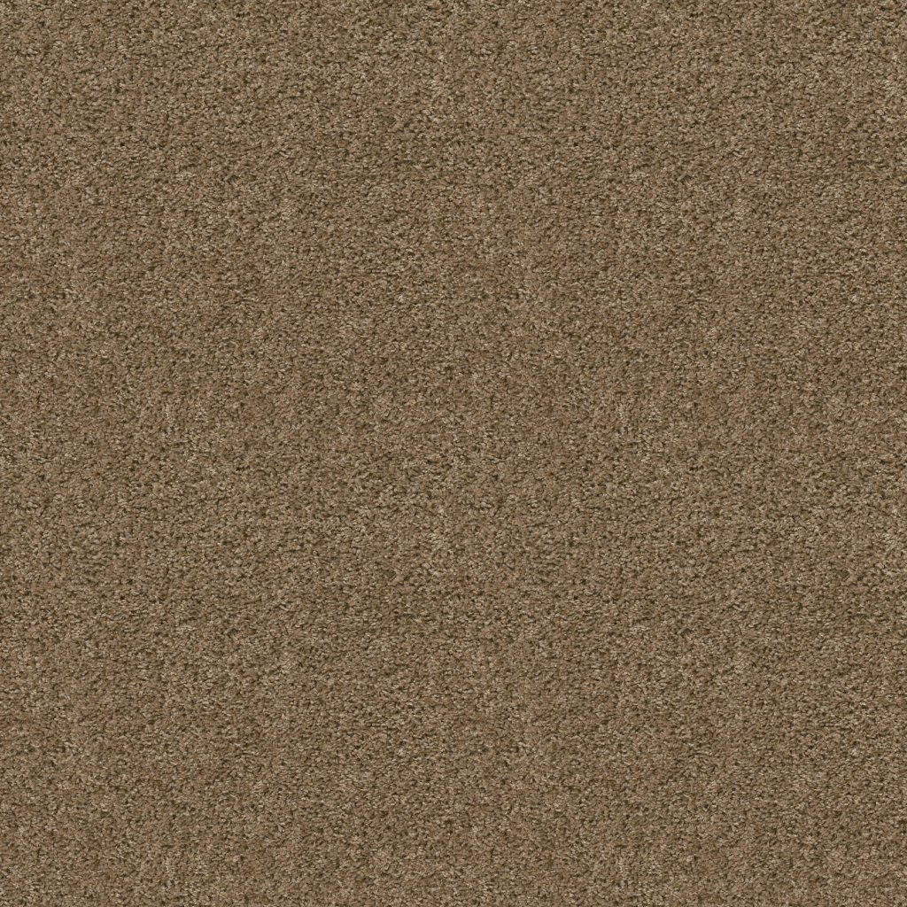 Shaw Floors See Me - Driftwood