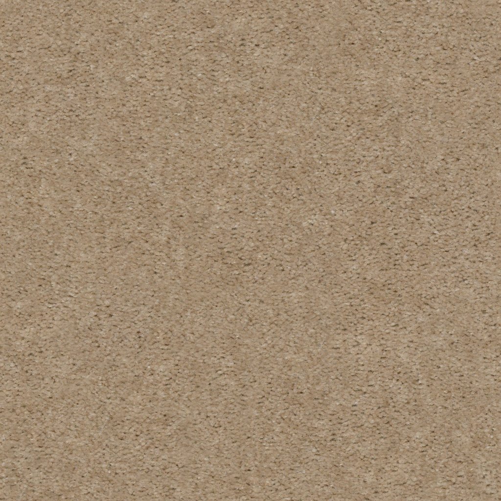 Shaw Floors Heroic - Artisan Craft