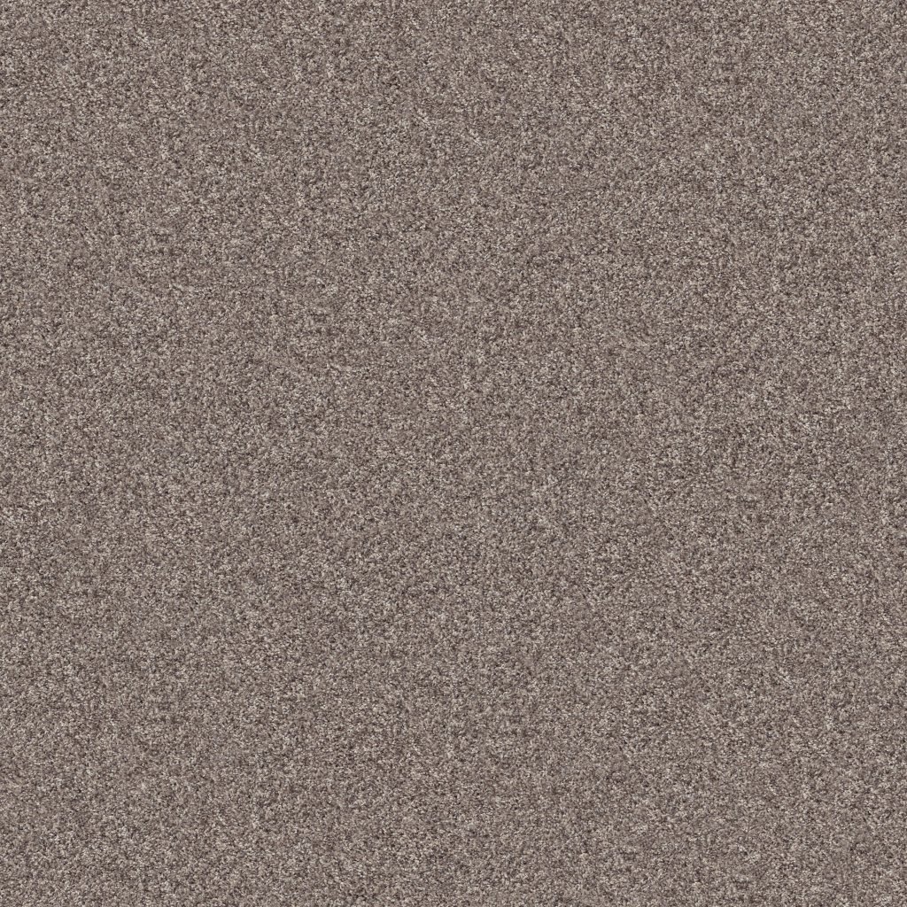 Shaw Floors Inlet Shore II 15' - Smooth Satin