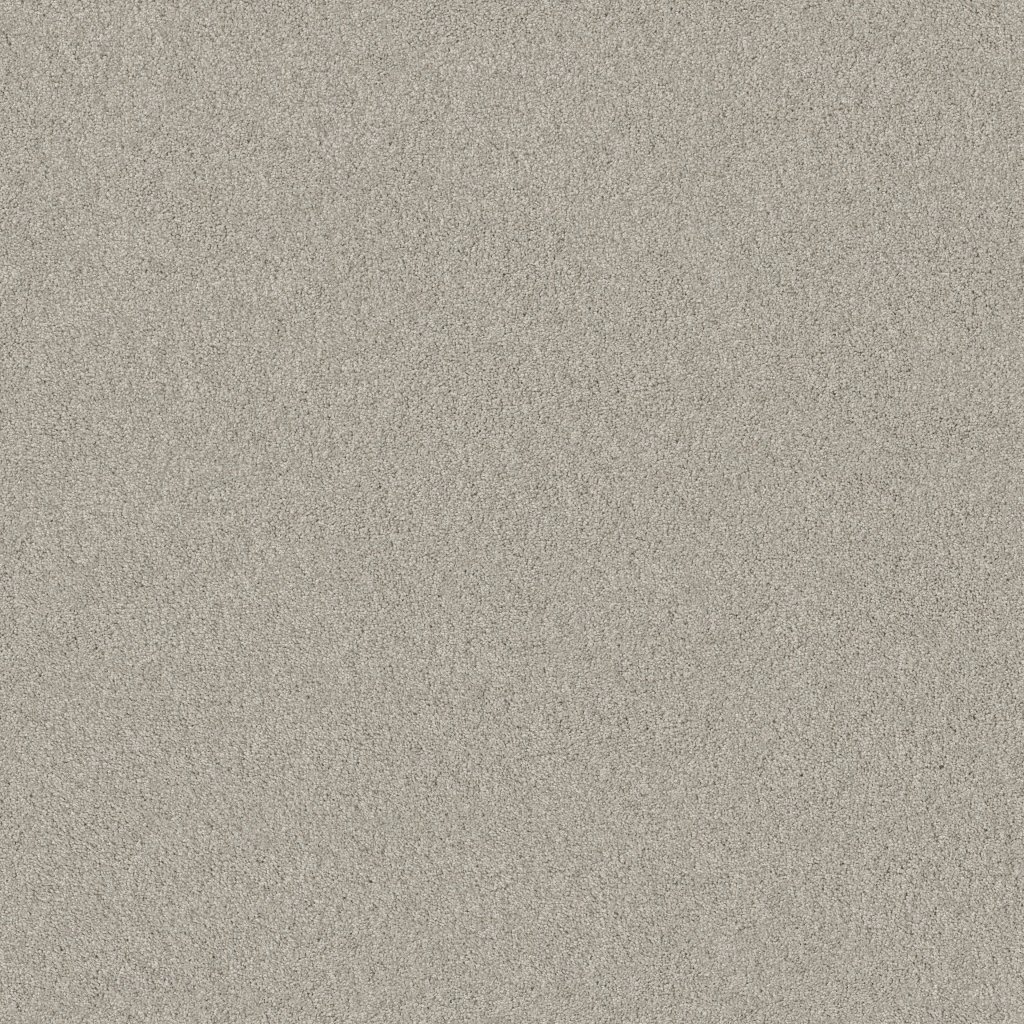 Shaw Floors Beautifully Simple - Greige