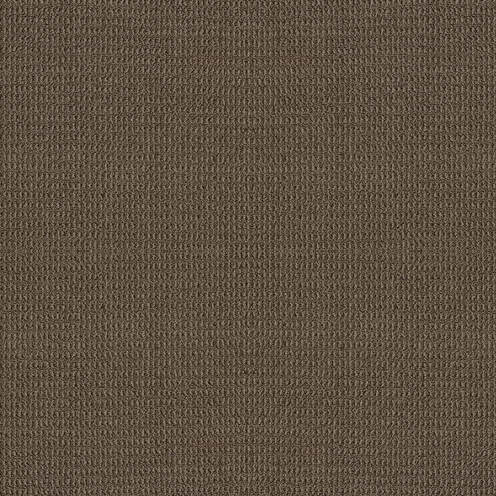 Shaw Floors Portofino - Shitake