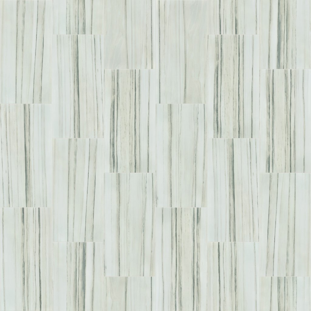 Shaw Floors VISION 16X32 MATTE - Zebrino