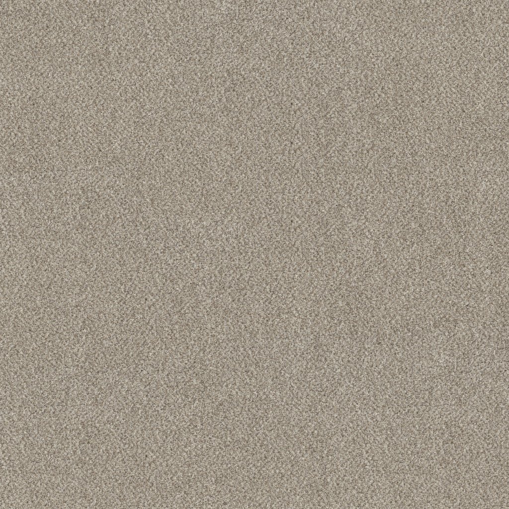 Shaw Floors Truspirit I - Mist