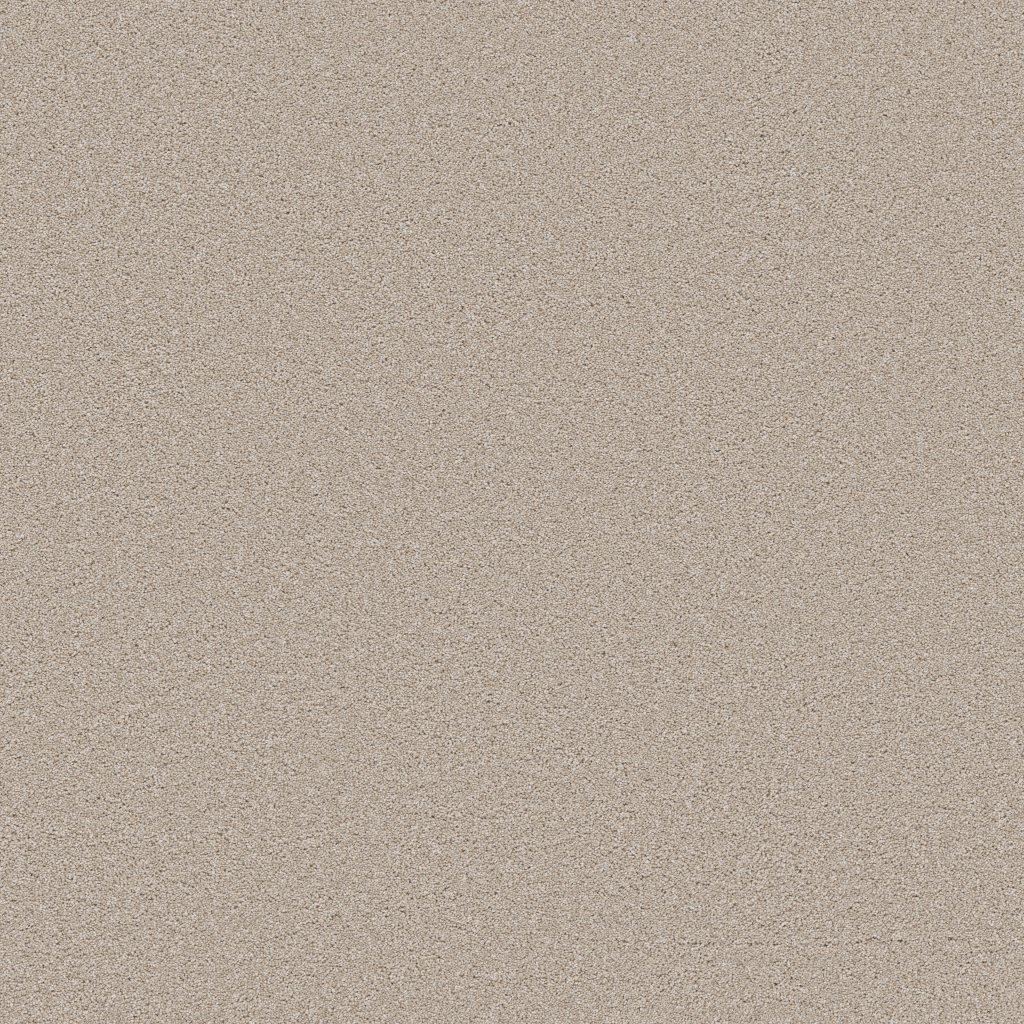 Shaw Floors Wonderland III 12' - Outer Banks
