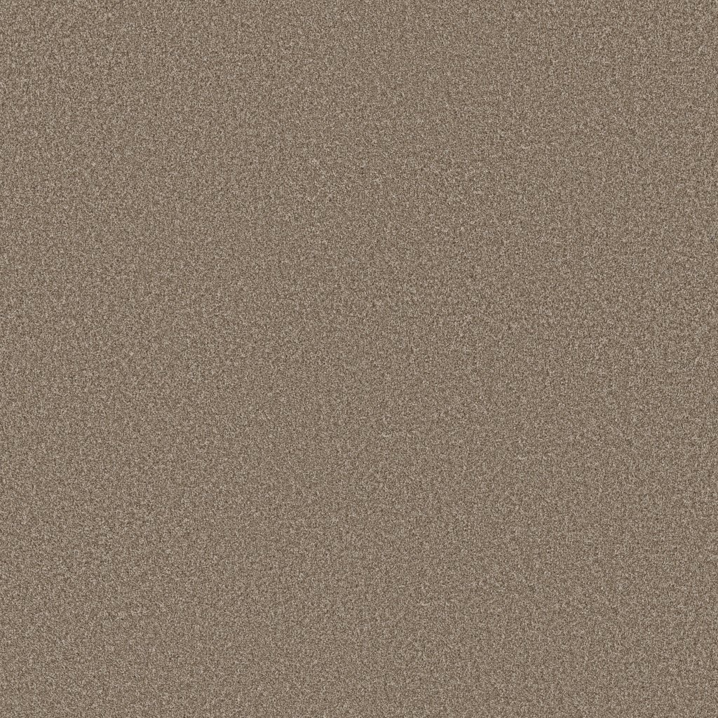 Shaw Floors Imaginable I - Clay