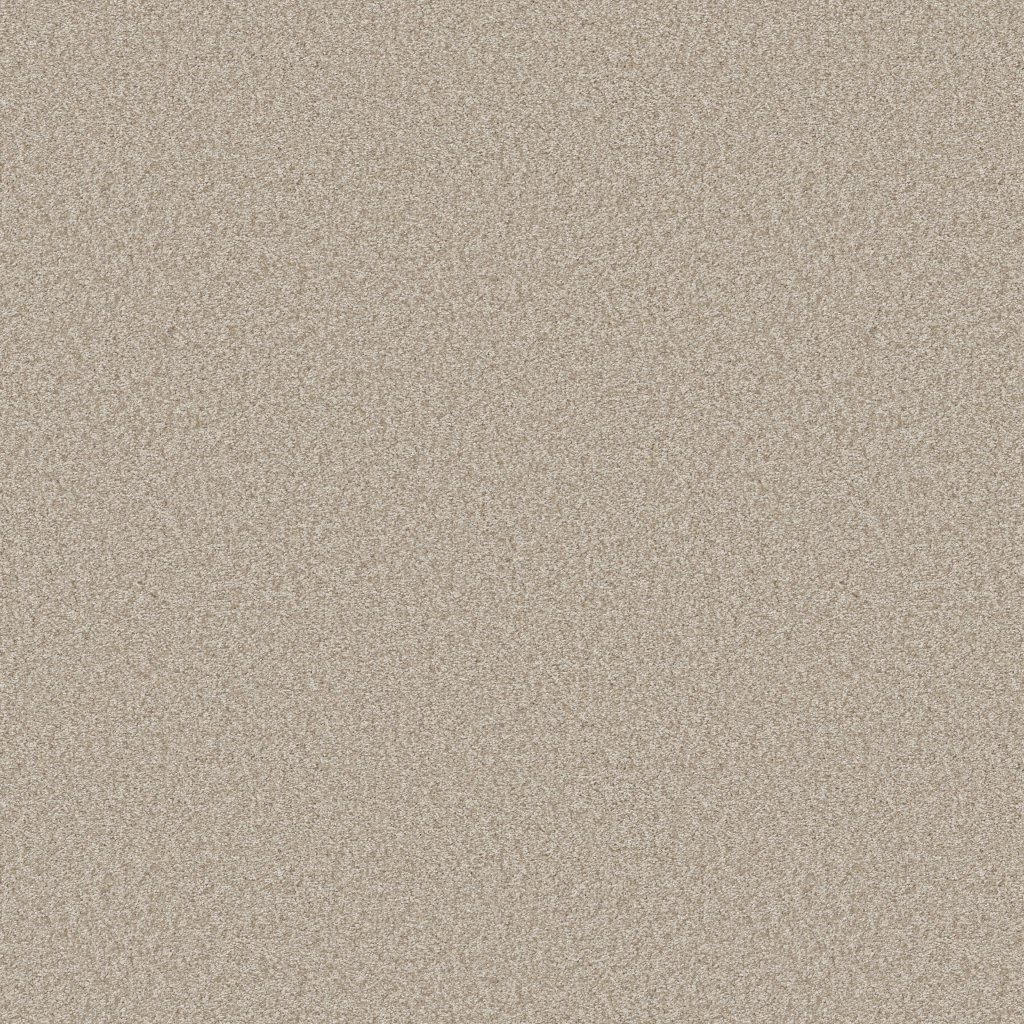 Shaw Floors You Got This III - Natural