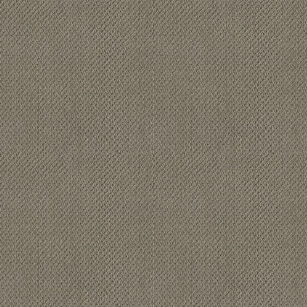 Shaw Floors Artist View Loop - Rocky Coast