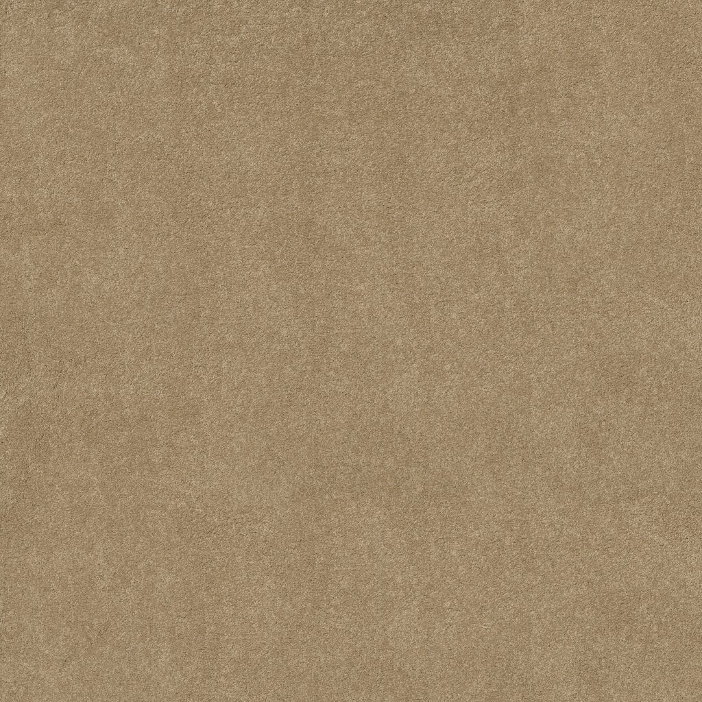 Shaw Floors YOU KNOW IT - Oakwood