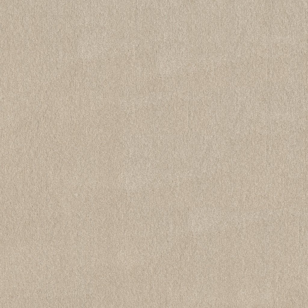 Shaw Floors WELL GROUNDED III 15 - Bleached