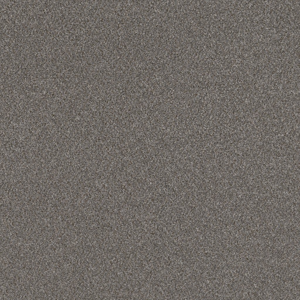 Shaw Floors Right Choice - Dovetail