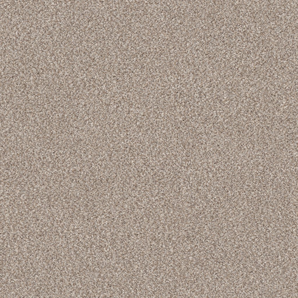 Shaw Floors Truspirit II - Mist