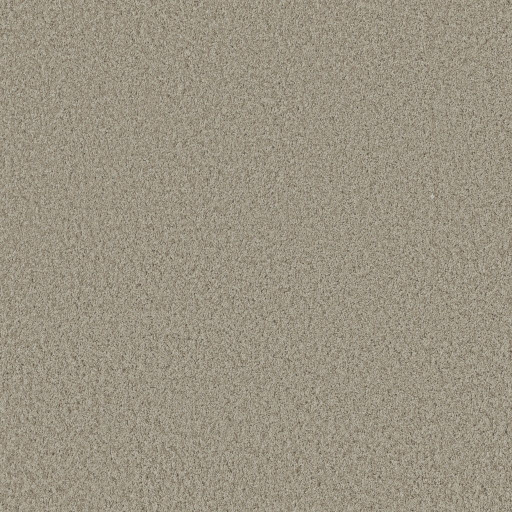 Shaw Floors Premier Role - Abalone