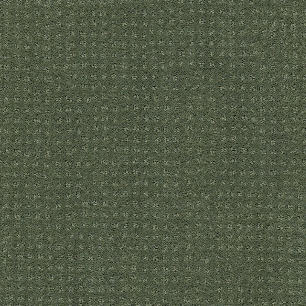 Shaw Floors Perpetual Move - Lush Garden