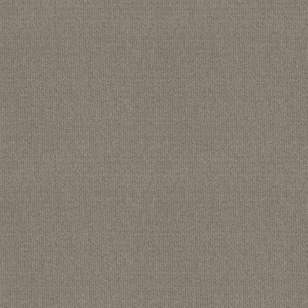 Shaw Floors Sierra Vista - Silhouette
