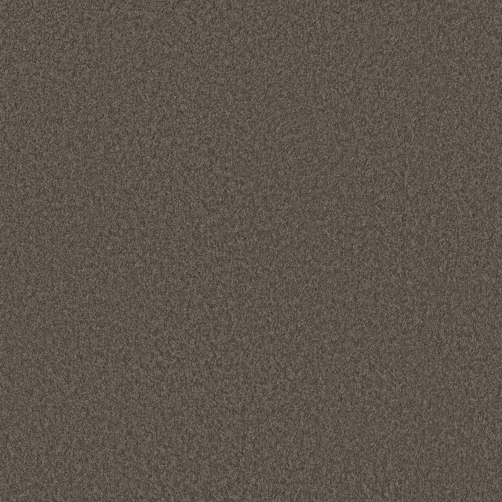Shaw Floors Velvet Touch II - Ashes