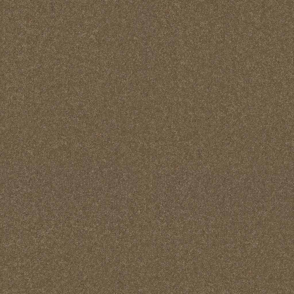 Shaw Floors YOU KNOW IT - Acorn