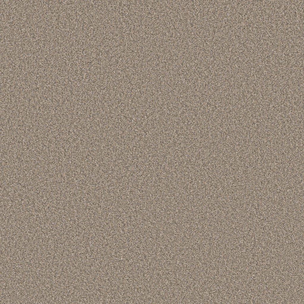 Shaw Floors Tweed Comfort II - Honeymoon