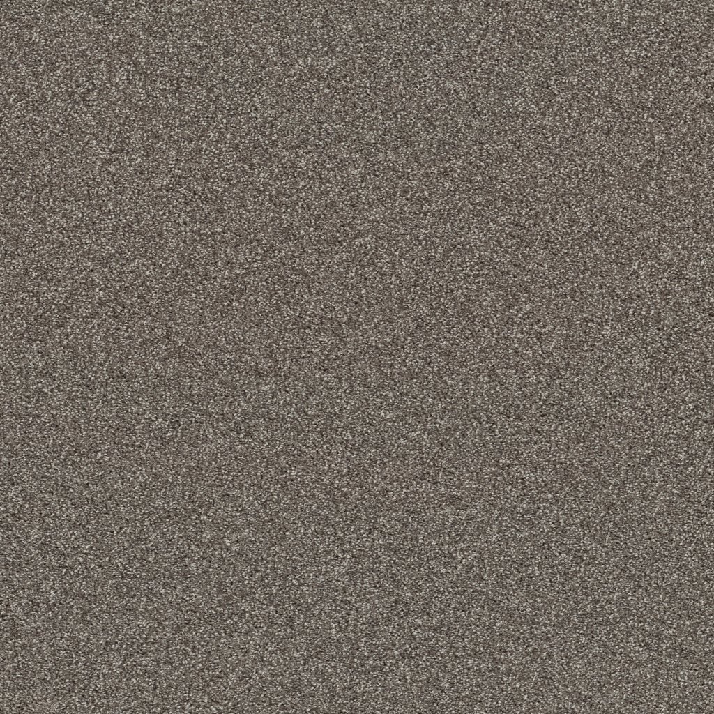 Shaw Floors Affirmation I - Orion Gray