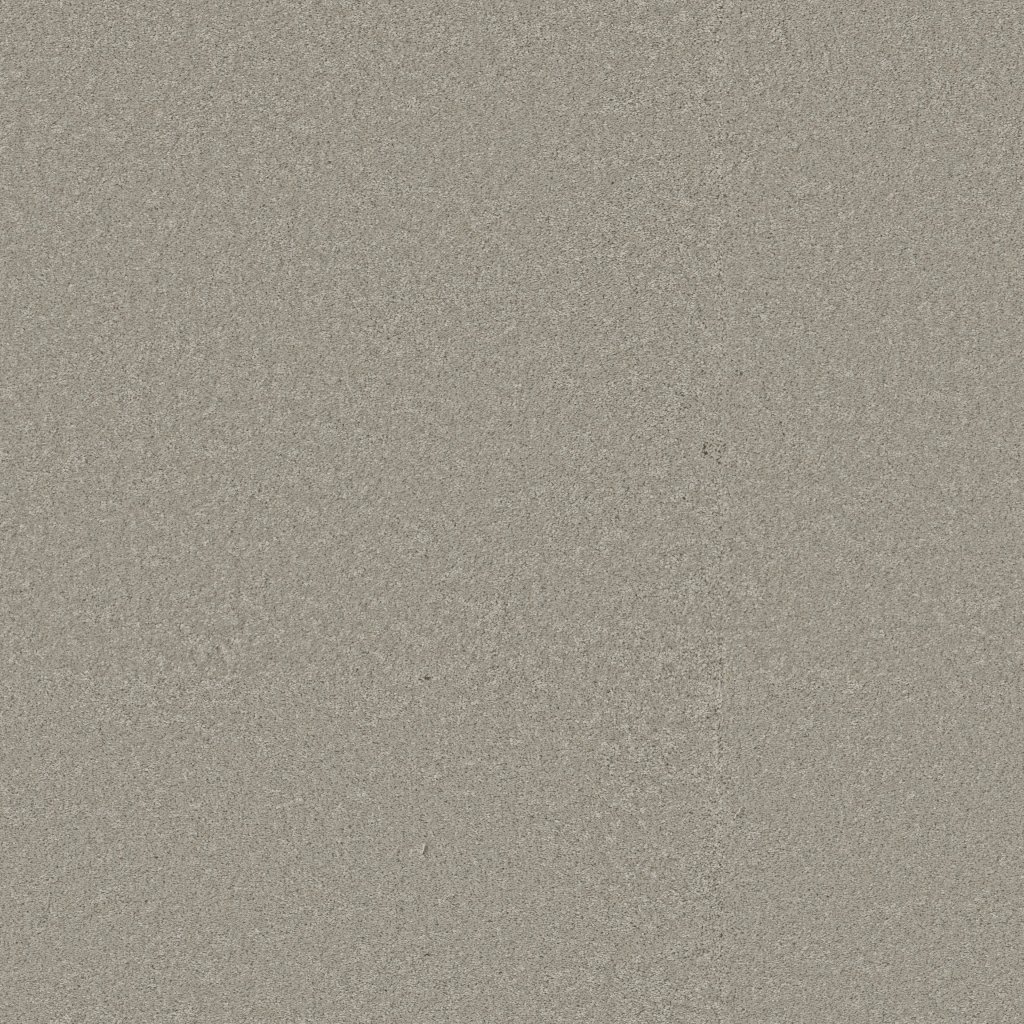 Shaw Floors Way To Go III - Taupe Tone
