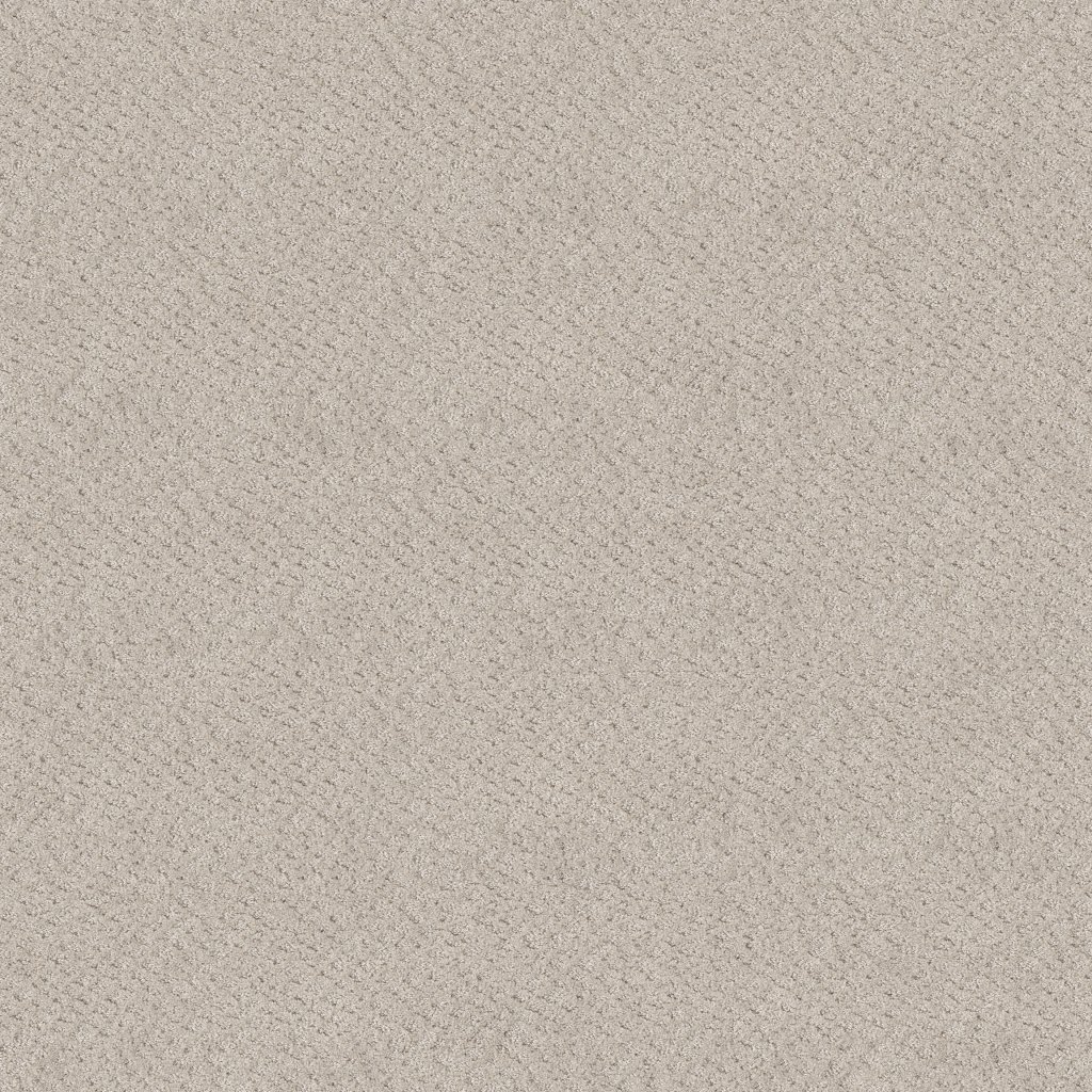 Shaw Floors Chic Shades - Serene Still