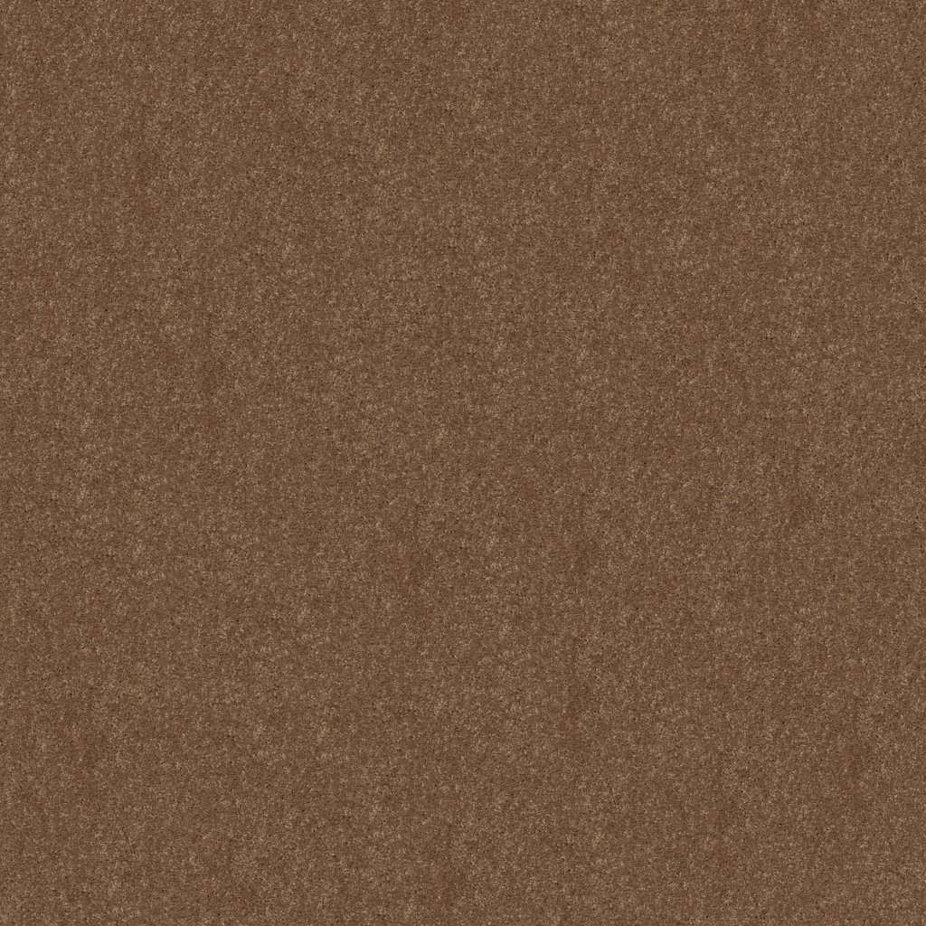 Shaw Floors Newbern Classic 12' - Candied Truffle