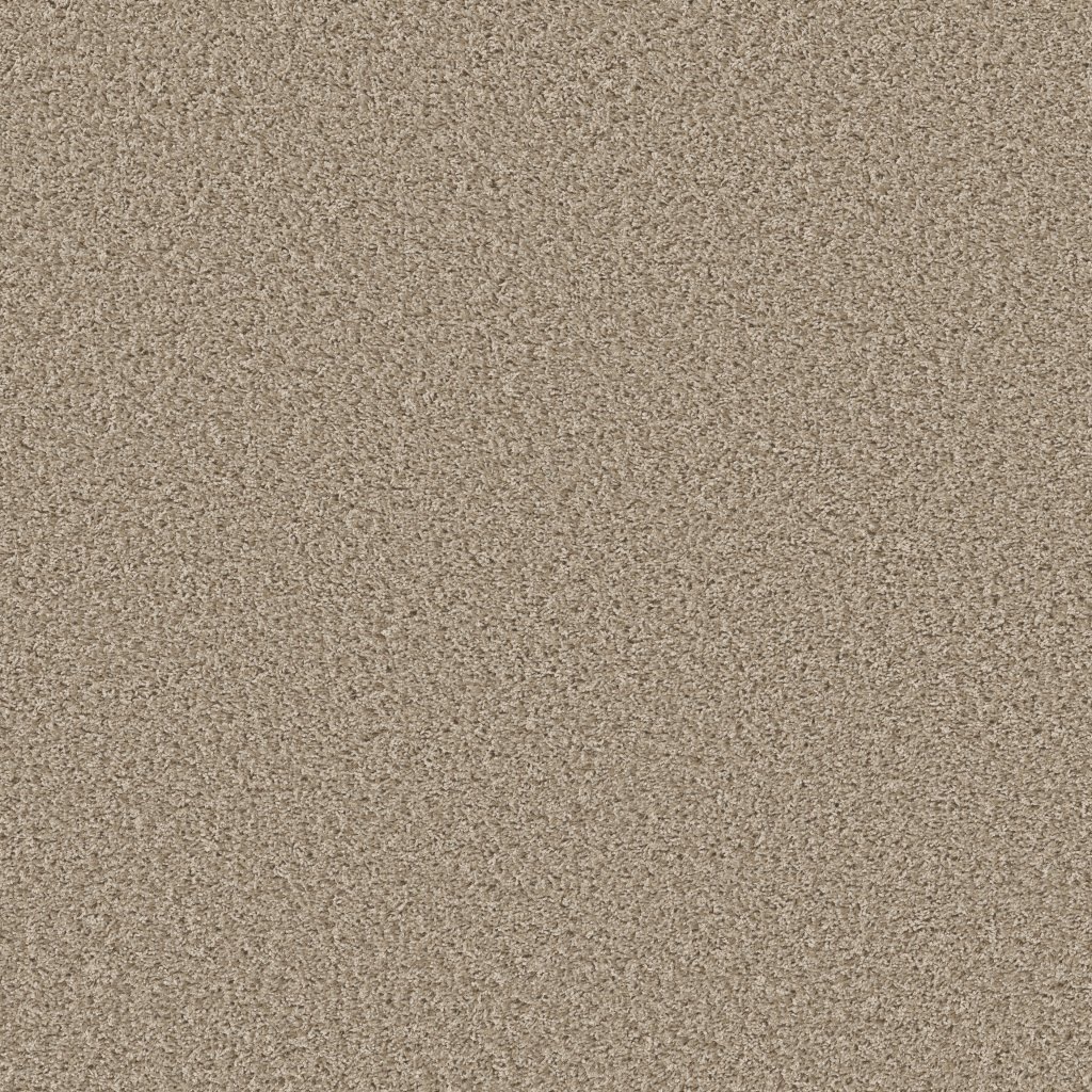 Shaw Floors Color Flair - Resort Sand