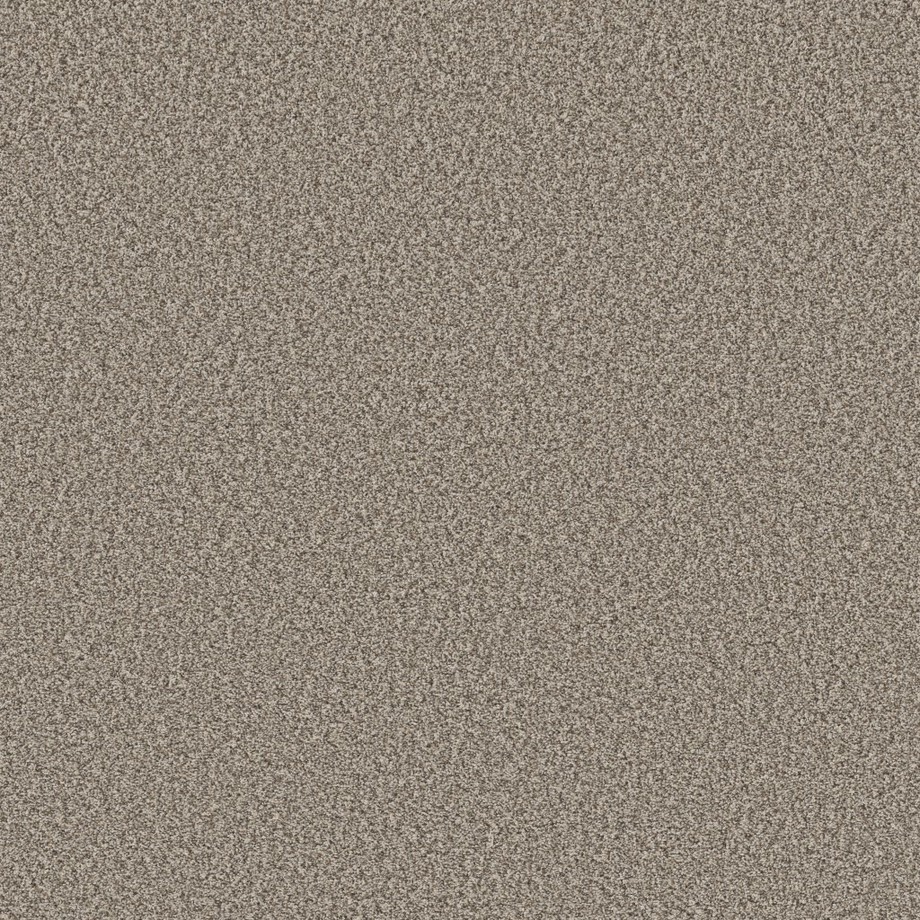Shaw Floors Prescott Valley - Pashmina