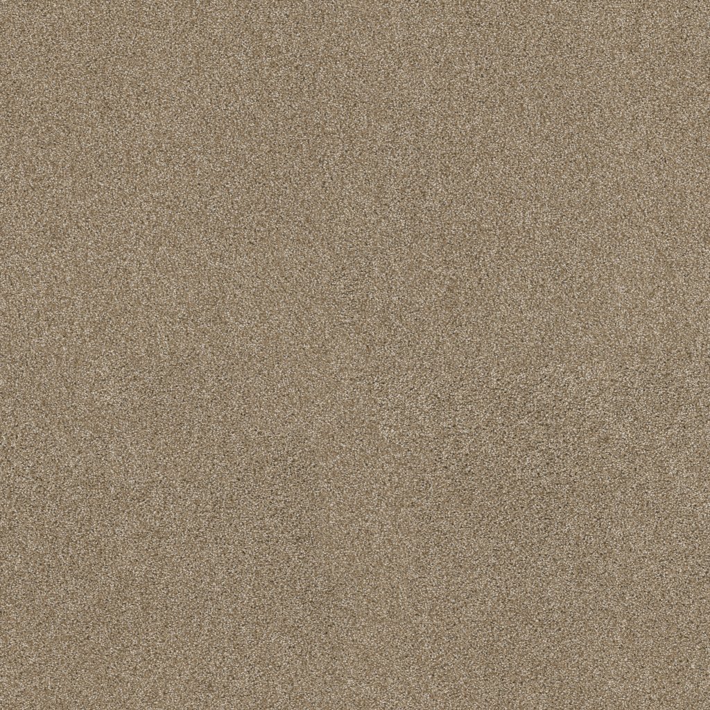 Shaw Floors Ocean View - Serengeti