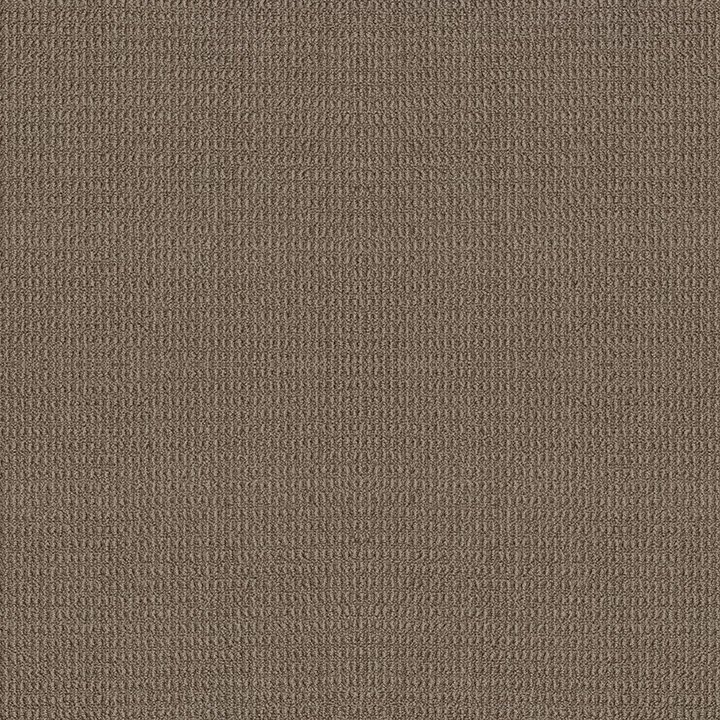 Shaw Floors Portofino - Timber Wolf