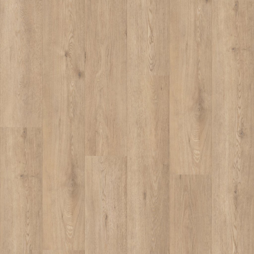 Shaw Floors Paragon HD Plus NB - Callaway