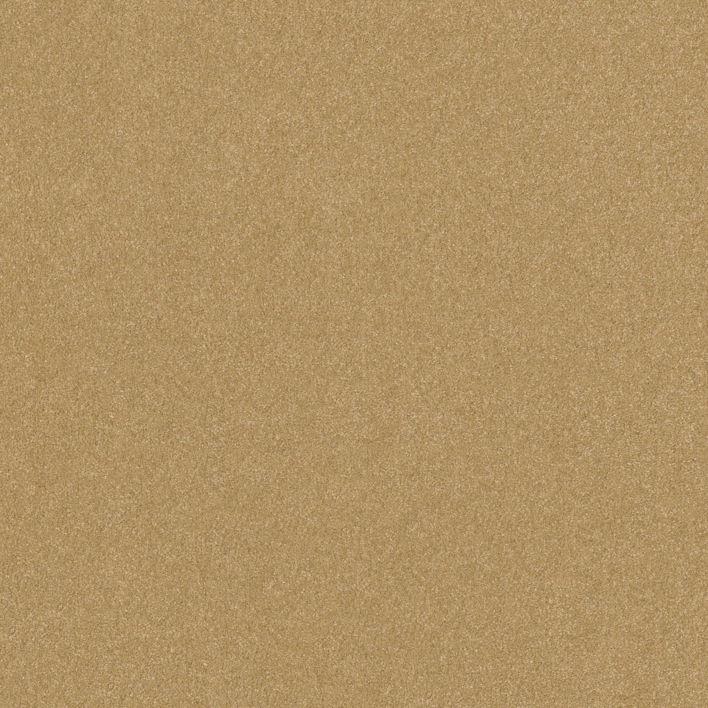 Shaw Floors Hard At Play I 15' - Urban Rustic