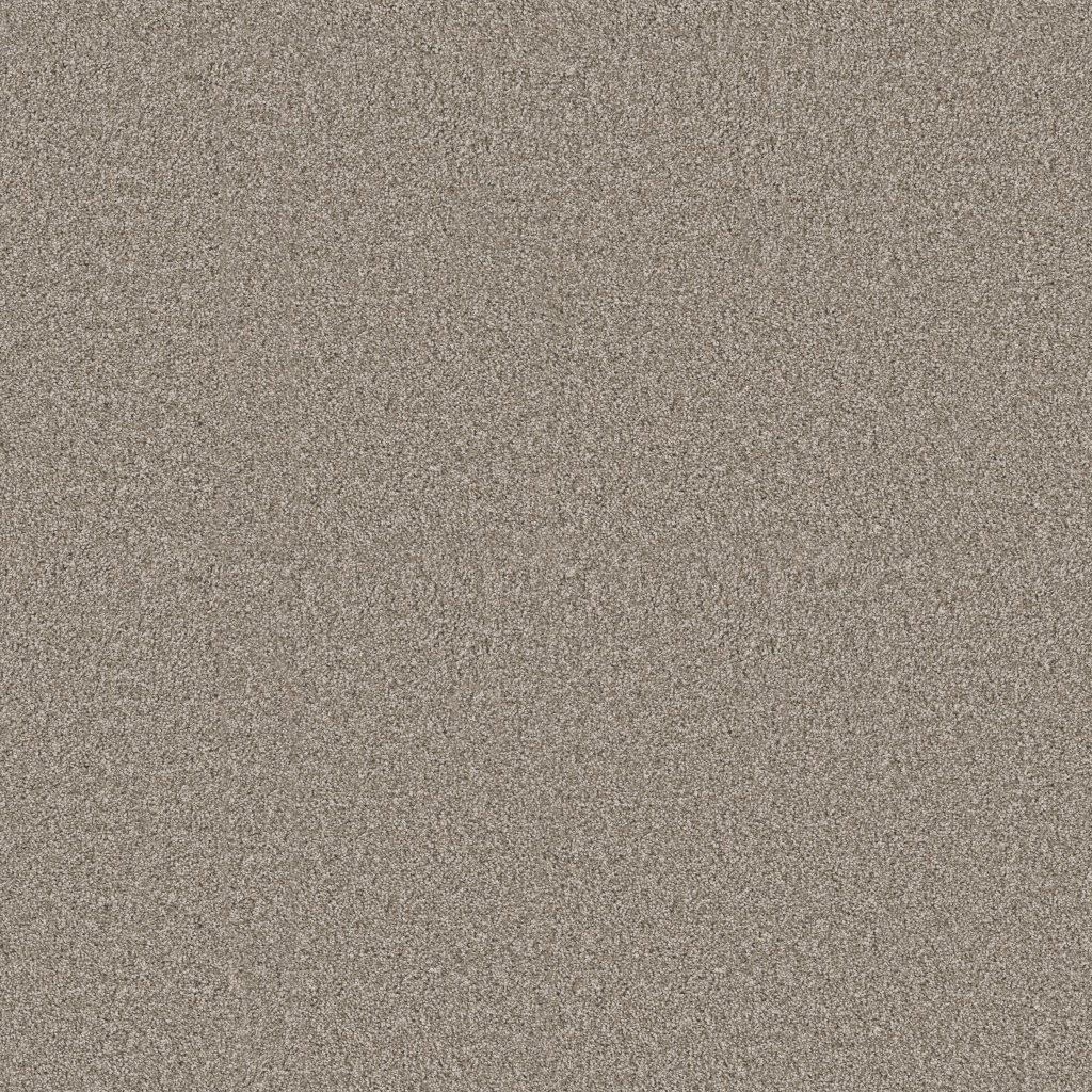 Shaw Floors Affirmation II - Vintage Pewter